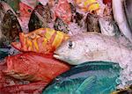 Tropical seafood