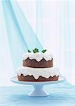 Ein Doppel-Schicht Kakao Kuchen am stand