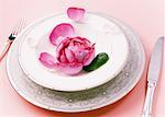 Rose petals and Plate