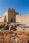 Ruins of Qasr Azraq, Jordan