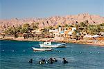 Gulf of Aqaba, Dahab Sinai, Egypt