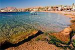 Gulf of Aqaba, Dahab Sinai, Egypt