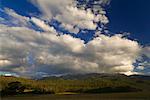 Geehi, Kosciuszko National Park, New South Wales, Australia