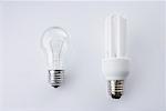 Still Life of Incandescent Lightbulb and Energy Efficient Lightbulb