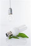 Still Life of Lightbulb and Energy Efficient Lightbulb