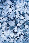 Eis Herzen umgeben von Scherben des Eises, Lake Louise, Alberta, Kanada
