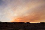 Arizona Desert at Sunset, Arizona, USA