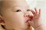 Close-up of a baby sucking his thumb.