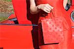 Closeup of woman holding shopping bag
