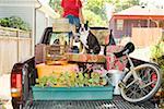 Woman and her stuff loaded on a pickup truck