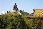 Giant Buddha atop tree covered hill in Hong Kong