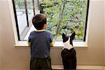 Young boy and dog looking out the window