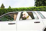 Haute femme et chien dans la voiture