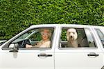 Haute femme et chien dans la voiture