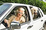 Senior femme et son chien en voiture