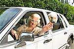 Senior woman and dog in car