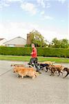 Man on rollerblades walking dogs