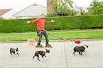 Man on rollerblades walking dogs