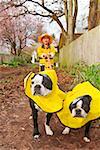 Asian boy walking dogs in raincoats