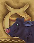 Close-up of bull with zodiac sign Taurus