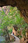 Virgin River près de Temple de Sinawava, Zion National Park, Utah, Etats-Unis