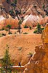 Bryce Canyon National Park, Utah, USA