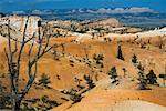 Parc National de Bryce Canyon, Utah, USA