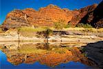 Les dômes, le massif des Bungle Bungle, Parc National de Purnululu, Kimberley, Australie-occidentale, Australie