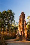 Magnetic Termite Mounts, Litchfield National Park, Northern Territory, Australia