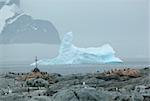 Memorial cross surrounded by penguins