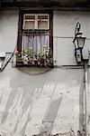 Window, Plovdiv, Plovdiv Province, Bulgaria