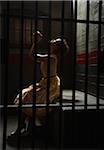 Woman in Jail