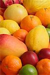 Différents types de fruits tropicaux
