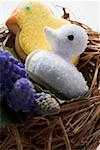 Easter biscuits (chicks) & grape hyacinths in Easter nest