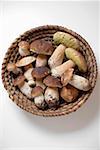 Ceps in a basket (overhead view)