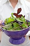 Woman holding colander full of mixed salad leaves