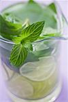 Mojito with lime and fresh mint