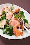 Salad leaves with fried salmon and mushrooms