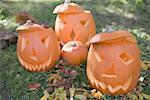 Carved pumpkin faces in garden