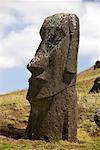 Moai, Rano Raraku, île de Pâques, Chili
