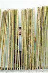 Brother and sister standing behind bamboo, boy smiling at camera, girl hiding