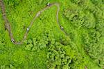 Four downhill cyclists on a path, aerial perspective