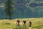 Three mountainbike riders driving along the waterside