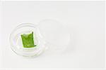 Aloe vera leaf and gel in open cosmetic container