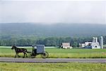 Amish de cheval et de Buggy, Pennsylvanie, Etats-Unis