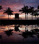 Trees and Lifeguard Station Reflected in Water, Dania Beach, Florida, USA