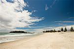 A beach on north island