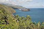 View of the coastline of hiva oa