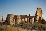 Ruines, Volubilis, Maroc