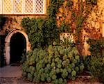 Malahide Castle, Talbot Botanischer Garten, Malahide, Co Fingal, Irland